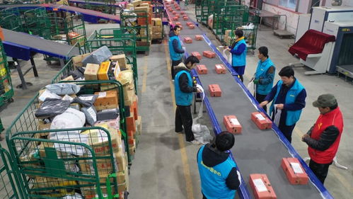 美國農業(yè)補貼再增190億美元，為何農場破產率仍飆升8%？出口受阻成關鍵因素