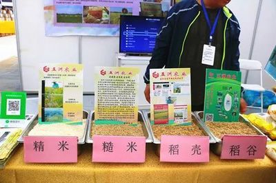 濟南都市農產品博覽會 初級農產品閃耀登場，優秀企業與十佳商品評選火熱進行